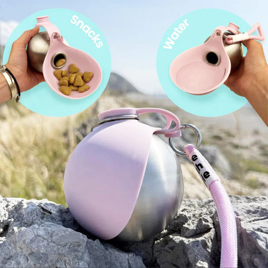 Portable Outdoor Pet Stainless Steel Water Cup Dog Water Bottle with Bowl for Cat 304 Stainless Steel Safe Food-Grade Silicone