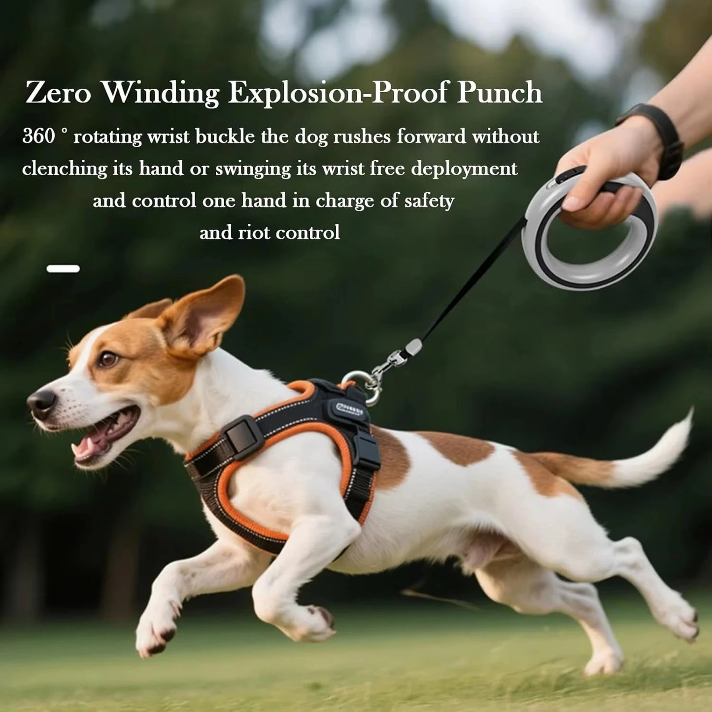 Retractable Dog Lead Heavy-Duty Extendable Dog Leads Strong Nylon Tape Leash One-Handed Brake Lock Tangle-Free Design for Small